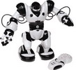 Робот Roboactor 36х32х16,5см, пульт ДУ, 67 функций, 7 моторов, 6 осей, программируется с пульта, 6 демо программ ТТ-313 (Сh)